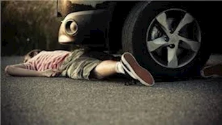  القبض على سائق دهس شخصًا وترك جثته على الطريق بالغربية