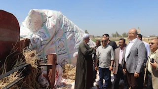 محافظ القليوبية: توريد 41 ألف طن قمح للشون والصوامع