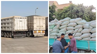   المنيا تخزن 249.5 ألف طن قمح محلي حتى الآن    