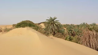 "إيش تخرب".. عين أسطورية في الوادي الجديد عمرها آلاف السنين -صور