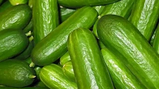 ارتفاع الخيار.. أسعار الخضروات والفاكهة في سوق العبور اليوم
