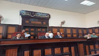 جنايات أسيوط تبرئ المتهم بقتل عمته وتقرر إيداعه مصحة نفسية