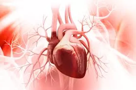 لمرضى القلب.. السمك البلطي كنز طبيعي يقيك من الأمراض المزمنة