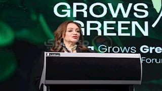 "المشاط": 3 تريليونات دولار فرص استثمارية في أفريقيا بحلول 2030
