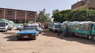 توريد 390 ألف طن قمح إلى شون وصوامع المنيا
