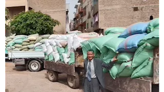 توريد 408 آلاف طن قمح بصوامع المنيا منذ بدء موسم 2025
