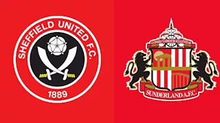 شيفيلد ضد سندرلاند.. لماذا تُعد مباراة بلاي أوف "الشامبيونشيب" الأغلى تاريخيا؟