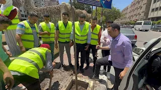 "بشبابها هنشجرها".. زراعة 60 شجرة على كورنيش بحر مويس في الشرقية