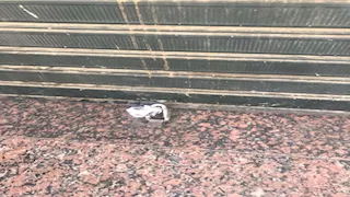 غلق المحلات 10 مساءً.. موعد تطبيق المواعيد الشتوية للمحال والمطاعم والمقاهي