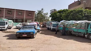 محافظ المنيا: توريد  435  ألف طن قمح للصوامع حتى الآن 