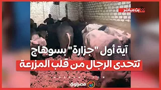 آية أول "جزارة" بسوهاج تتحدى الرجال من قلب المزرعة ورثت المهنة أبا عن جد