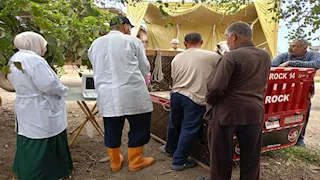 بالصور.. قوافل بيطرية مجانية لرعاية 15 ألف حيوان في 10 محافظات