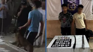 استخدموا كلبًا شرسًا.. الداخلية تكشف تفاصيل فيديو مشاجرة عنيفة في الجيزة