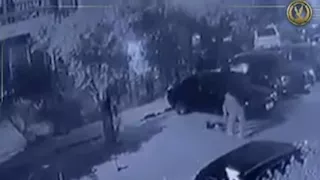  الداخلية تكشف ملابسات فيديو "قتل كلب ضال" في شوارع القاهرة 