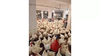 محافظ الإسماعيلية يتابع أنشطة مديرية الزراعة ويؤكد دعم تنمية القطاع