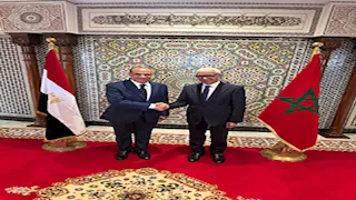 وزير الخارجية يجتمع برئيس مجلس النواب المغربي