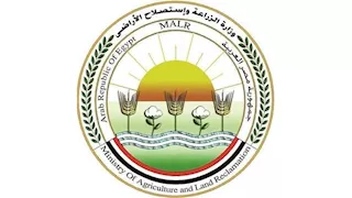 "البحوث الزراعية" يدعم أكثر من 72 ألف مزارع بأكثر من 2800 نشاط إرشادي متنوع