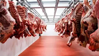 مجازر الجيزة تفتح أبوابها مجانًا للمواطنين خلال عيد الأضحى