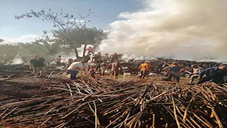 السيطرة على حريق في مخزن خشب بطوخ (صور)