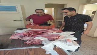 ضبط لحوم فاسدة و10 أطنان قمح دون تصريح في حملات بأسيوط