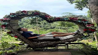 "سيلفي مع قرد".. مصطفى محمد يقضي إجازته في بالي (صور)