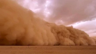 جدار غباري.. عاصفة ترابية كبيرة تجتاح الرس السعودية (فيديو)