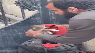"أنا المهدي المنتظر".. ضبط شخص يقيد القطط داخل حقيبة بالجيزة