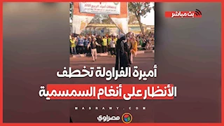 أميرة الفراولة تخطف الأنظار على أنغام السمسمية.. قصة تقليد شعبي تعرفه الإسماعيلية منذ 30 عامًا