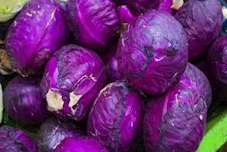 الكرنب الأحمر..كنز طبيعي يمتلك فوائد سحرية على الصحة