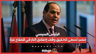 الرئيس السيسي: مصر تسعى لتحقيق وقف إطلاق النار في قطاع غزة