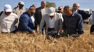 محافظ الدقهلية: نحتل المركز الثالث على مستوى الجمهورية في إنتاج القمح 