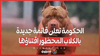 الحكومة تعلن قائمة جديدة بالكلاب المحظور اقتناؤها