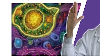 هل اتباع أنظمة غذائية قاسية يحارب السرطان؟