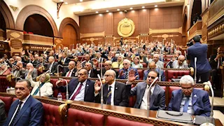 مع فتح باب التقديم.. 9 أوراق للترشح في انتخابات مجلس الشيوخ 2025