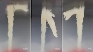 في اكتشاف مذهل.. علماء يوثقون "أبراج حية" تبنيها الديدان في الطبيعة