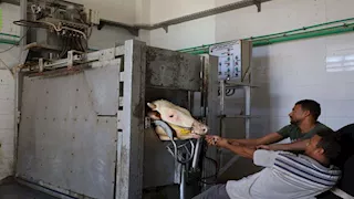 ذبح 101 أضحية بمجزر طور سيناء خلال عيد الأضحى