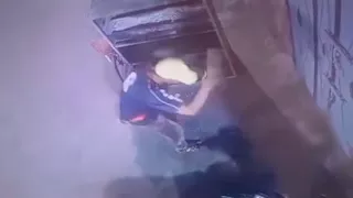 الداخلية تكشف حقيقة فيديو قتل هرة بالغربية