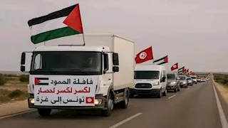 أستاذ علوم سياسية: "قافلة الصمود" تستهدف تشويه الدور المصري