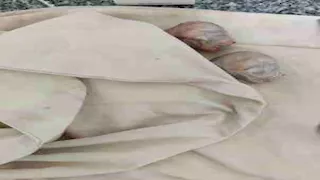  الطب البيطري: نجاح عملية ولادة قيصرية لقطة بالغربية -صور