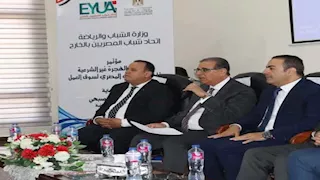 اتحاد شباب المصريين بالخارج: نقف صفًا واحدًا ضد محاولات المزايدة 