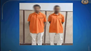 فيديو صادم يوثق تجميع كلاب بأجولة بلاستيكية في مطروح