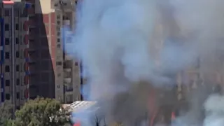 حريق يلتهم أشجار في بيانكي غرب الإسكندرية -صور