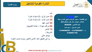 فرص عمل في كبرى الأسواق التجارية بالقاهرة.. الشروط وخطوات التقديم