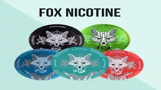 بعد ظهوره بجانب لاعب.. ماهو "سنوس" بديل النيكوتين؟