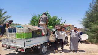 أورجانيك على أصوله.. مانجا سيناء "استوت بدري" والسُكّري تغزو السوق