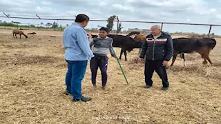 الزراعة تنفذ 2000 نشاط إرشادي لدعم أكثر من 51 ألف مزارع