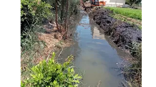 "الإصلاح الزراعي" يزيل 438 حالة تعدي في المهد ويواصل الدعم الفني للمنتفعين 