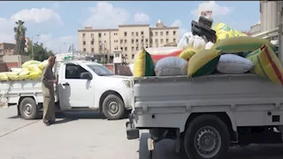 منذ بداية الحصاد.. صوامع وشون الشرقية تورد 60 ألف طن قمح محلي 