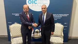 وزير الخارجية يؤكد دعم مصر لليمن وأولوية ملف البحر الأحم