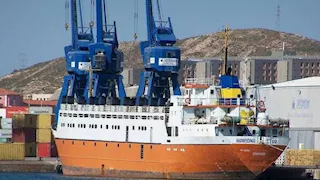 وصول 1057 رأس عجول حية لميناء سفاجا